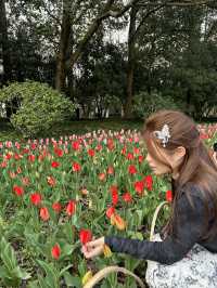 Hangzhou Citywalk Guide 🌷🍵✨