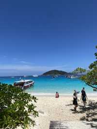 🌴✨ Similan Islands – Paradise Found!