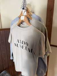 【香川】ANDO MUSEUM