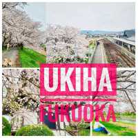 Ukiha : เมืองเล็กๆที่เหมือนอยู่ในโลกอนิเมะ