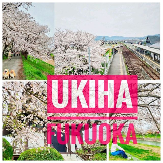 Ukiha : เมืองเล็กๆที่เหมือนอยู่ในโลกอนิเมะ