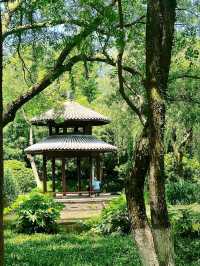 Maojiabu: Hangzhou’s Hidden Lakeside Sanctuary