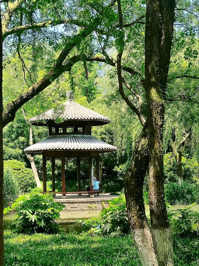 Maojiabu: Hangzhou’s Hidden Lakeside Sanctuary