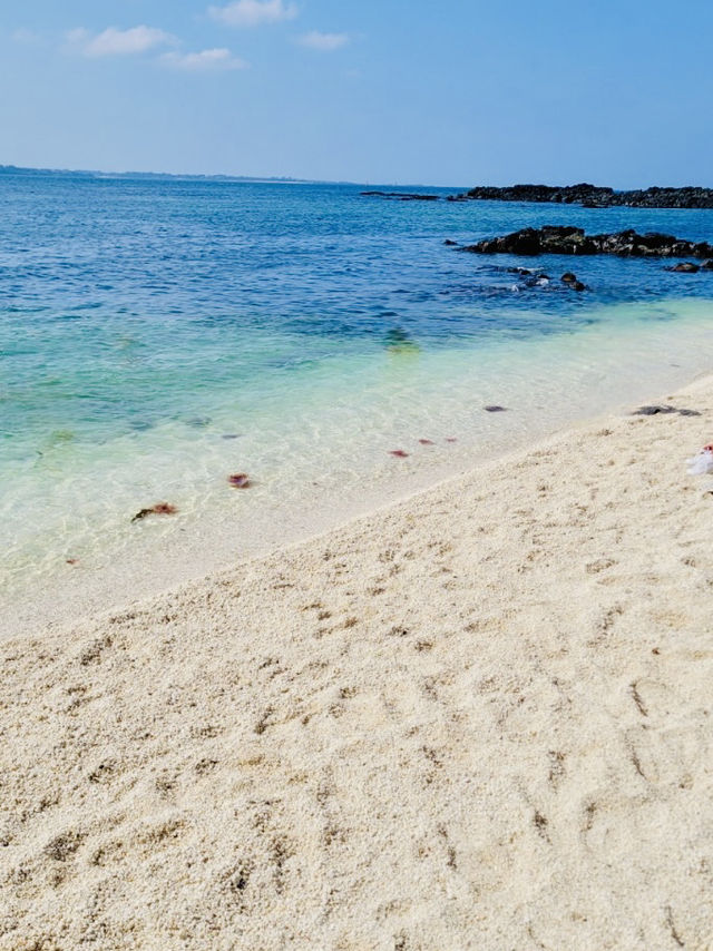 A Tropical Paradise for Clear Kayaking and Snorkeling