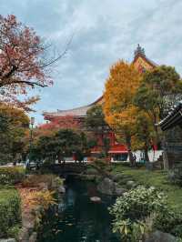 Osaka Castle