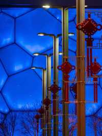 Water Cube: Where 100,000 Bubbles Inhale Olympic Ghosts And Chlorine Vapor’s Trade Medals For Ticket
