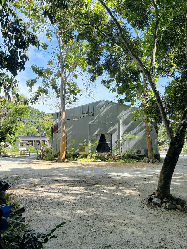 ปาฎี คาเฟ่ในป่า ที่ระยอง บรรยากาศดีไม่มีใครเกิน
