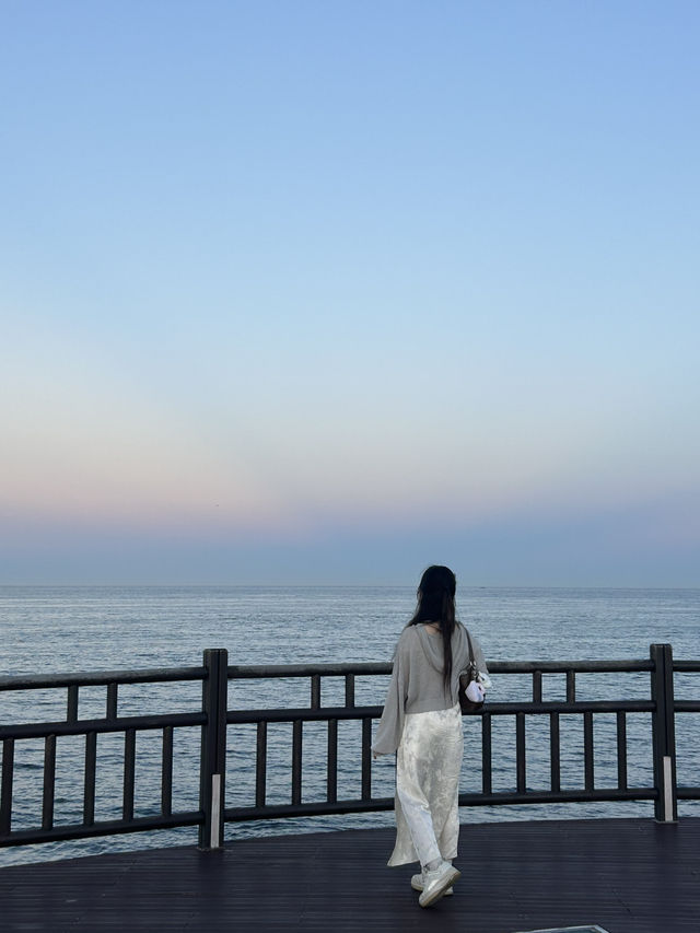 일몰빛에 물든 포항, 호미곶 해맞이광장 뷰 🤍💙