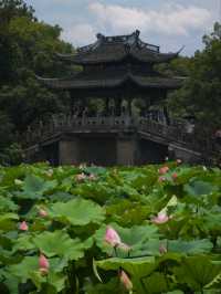 BREEZE-RUFFLED LOTUS AT QUYUAN · NATURE’S PERFUMED THEATER