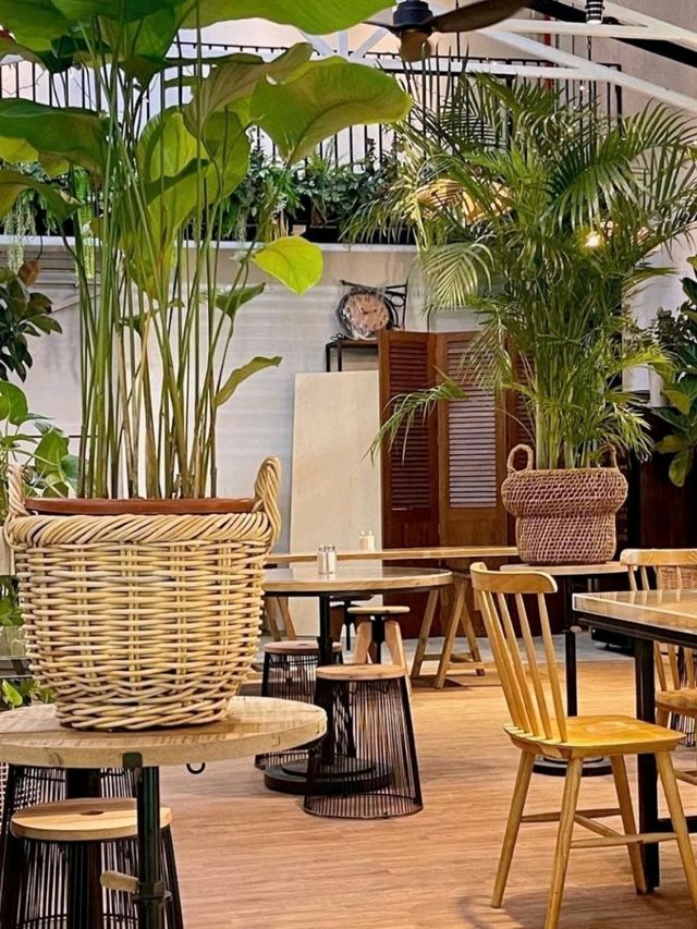 Knots Café & Living