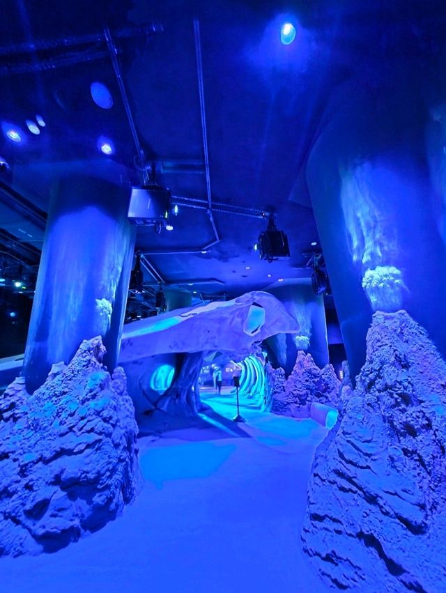 Into the Deep: Where Giants Rest