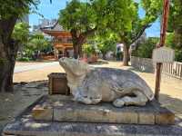 【大阪】堺市　菅原神社