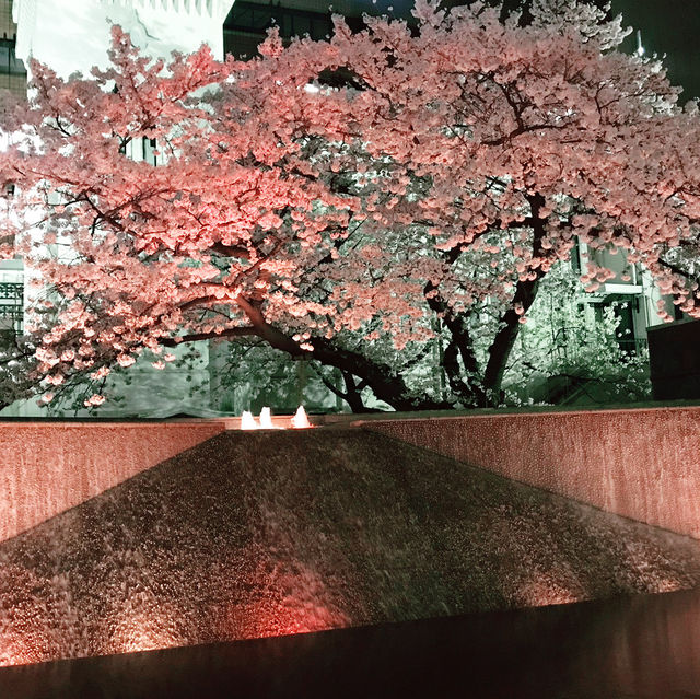 🌸春爛漫!桜と花に彩られる横浜さんぽ:海岸教会からガーデンフェスまで🌷 🌸春爛漫!桜と花に彩られる横浜さんぽ:海岸教会からガーデンフェスまで🌷