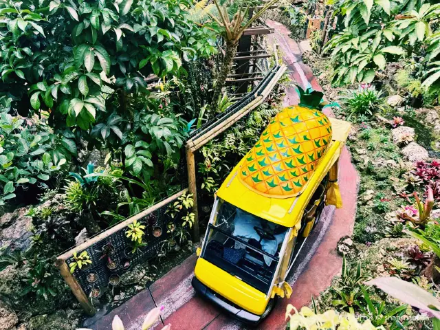 沖繩🇯🇵名護菠蘿園