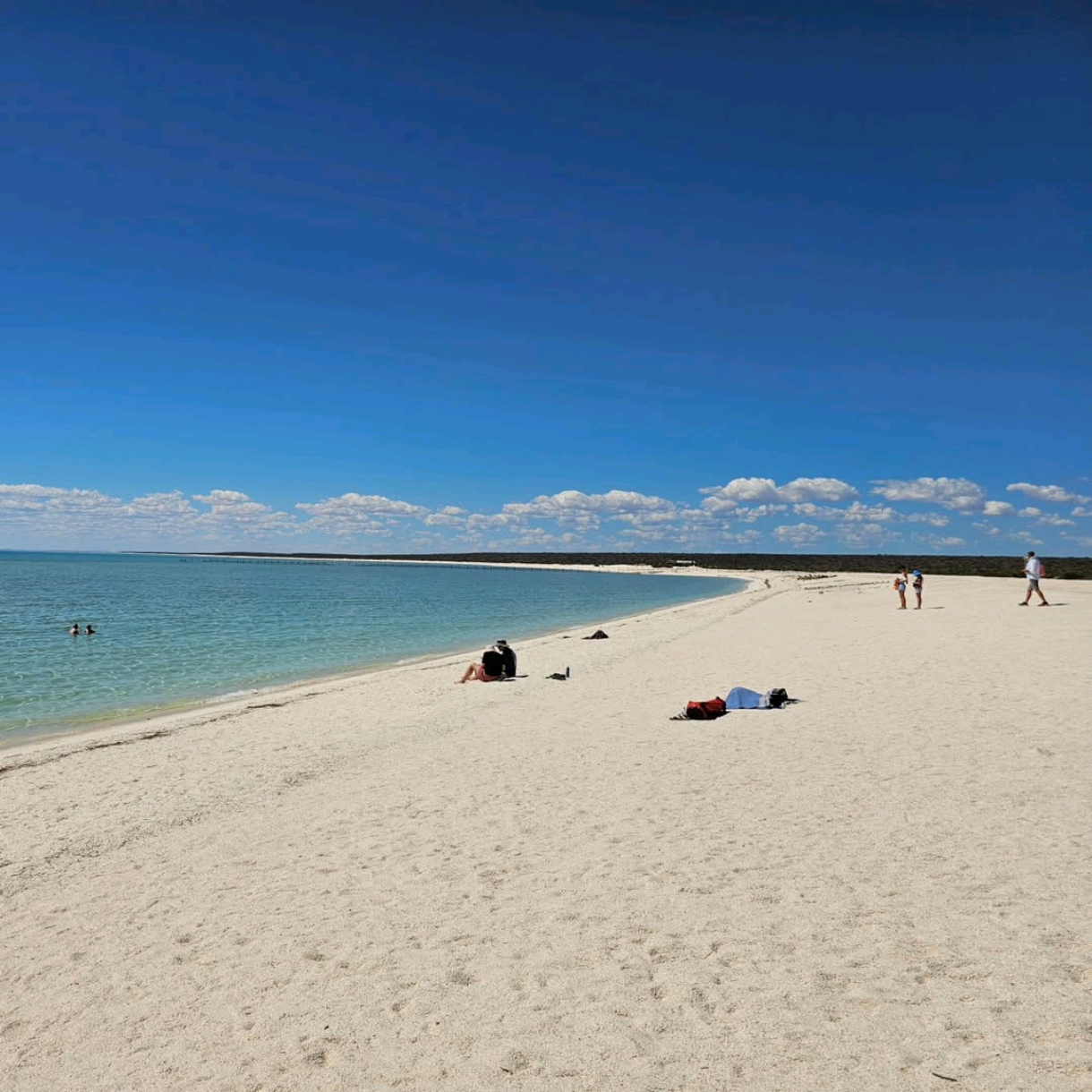 Endless White Shells and Salty Vibes at Shell Beach