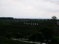 ดื่มชาร้านดัง วิวหลักล้าน“ไร่ชาฉุยฟง”