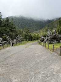 太平山森林遊樂區