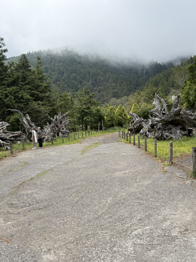 太平山森林遊樂區