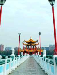 Lotus Pond: A Serene Escape in Kaohsiung