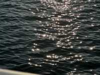 여수 뚜벅이 걸스트립 가이드!