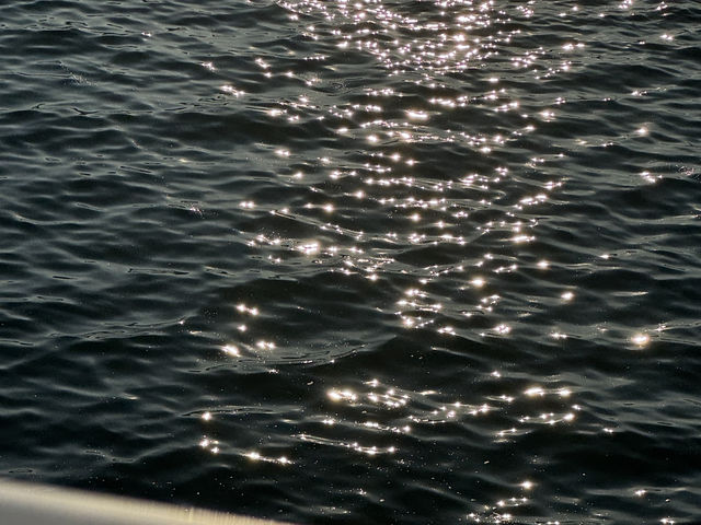 여수 뚜벅이 걸스트립 가이드!