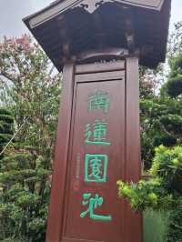 南蓮園池|鬧市中的中式庭園🌳|親子散步好去處🌟