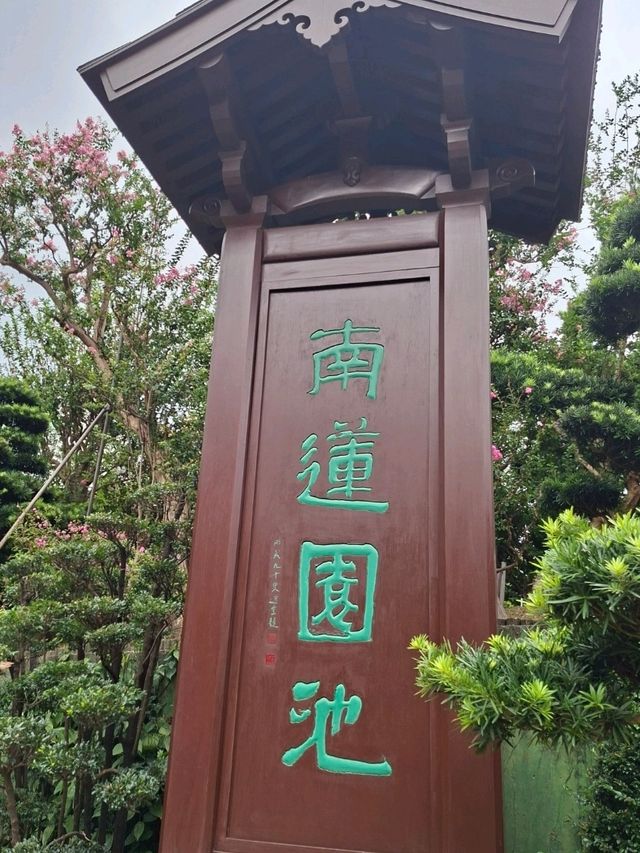 南蓮園池|鬧市中的中式庭園🌳|親子散步好去處🌟 南蓮園池|鬧市中的中式庭園🌳|親子散步好去處🌟