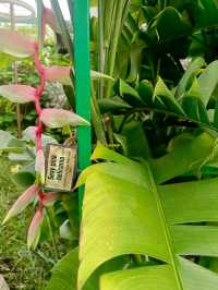 the Secret Garden, Upper Roof @ One Utama, Petaling jaya