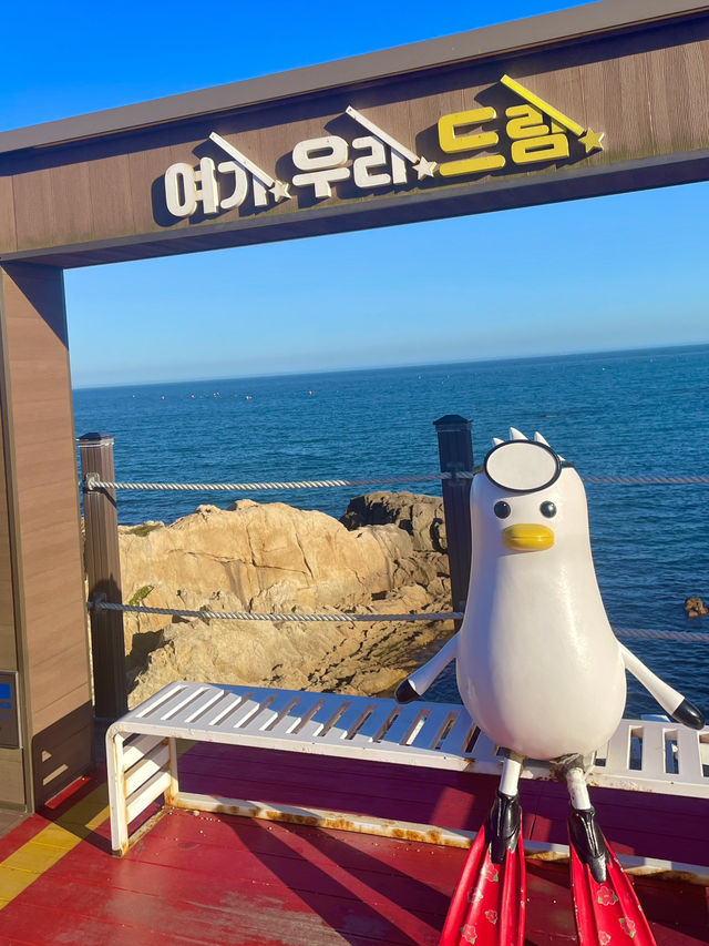 🌊 부산 기장 가볼만한 곳 추천합니다💛❄️