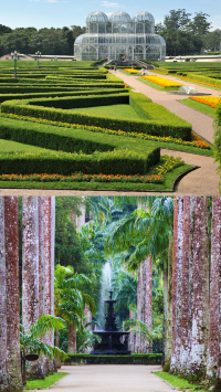 เสน่ห์แห่งฟอร์ตาเลซาและริโอเดจาเนโร บราชิล