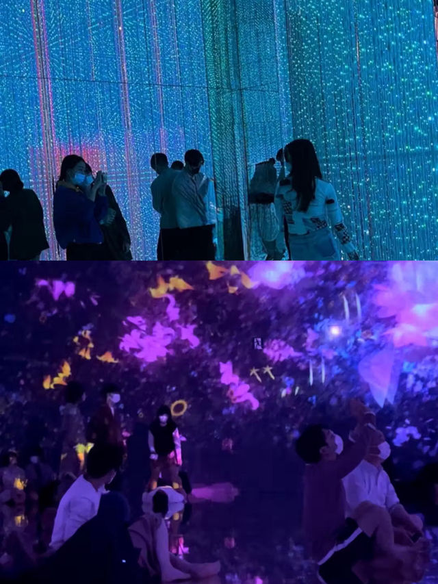 🌆 도쿄에서 즐기는 특별한 실내 여행 ✨