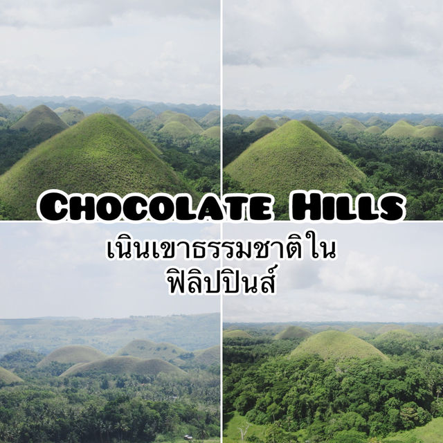 เขาช็อกโกแลต (Chocolate Hills)|