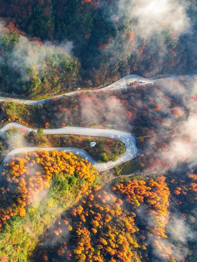 🍂 Guangwu Mountain – The Autumn Paradise of Sichuan 🍂