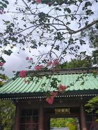 鎌倉大佛一天遊