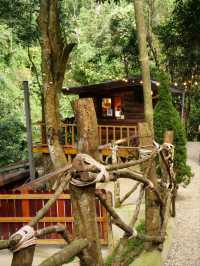 ☕ : Atlantis Valley คาเฟ่แม่ออน เชียงใหม่