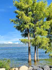 Whispers of Water and Mountains – Discover Erhai