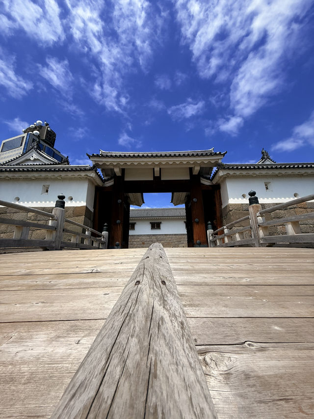 靜岡｜德川家康退位後的居所 遙控江戶的傳奇之所-駿府城