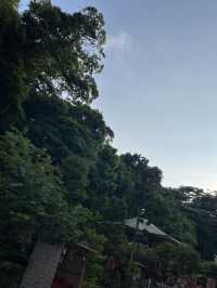 【鎌倉】江之島神社一步步走出的感動
