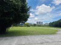 板橋出發・大稻埕河岸騎行 🚴♀️🌿