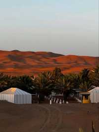 The Endless Beauty of the Sahara Desert