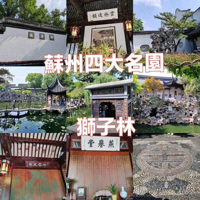 蘇州假山迷宮大揭秘！獅子林的元代園林美學⛰️