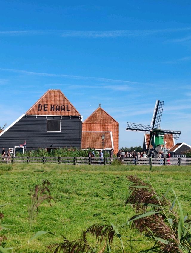 Day Trip in the Netherlands: Zaandam, Zaanse Schans & Utrecht