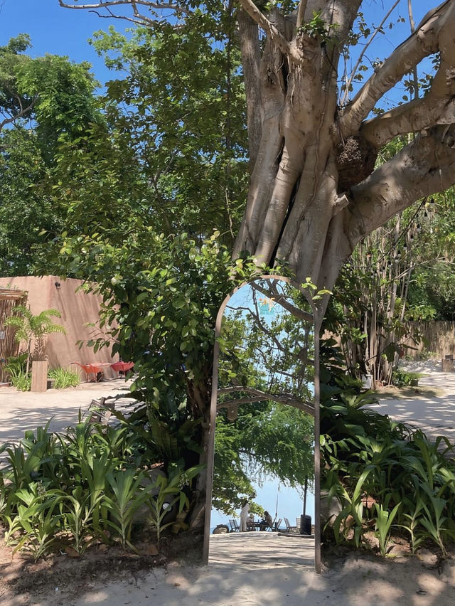 She Sails Cafe & Beach Club ระยอง🏝️🍹🍽️