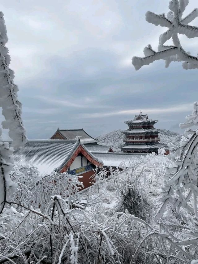 Winter Skiing