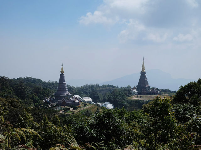 เส้นทางศึกษาธรรมชาติกิ่วแม่ปาน