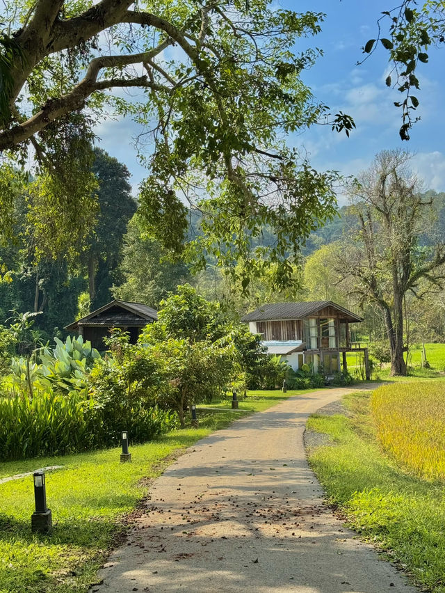 เนินแจ่มใส ที่พักที่โอบกอดด้วยภูเขา 🌸🍃
