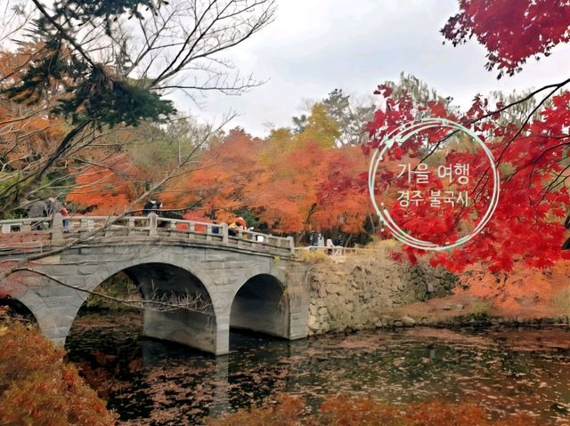 가을 단풍이 예쁜 경주 불국사 여행 🍁