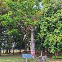 ชมโบราณสถานแห่งเมืองระนอง