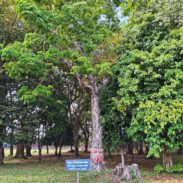ชมโบราณสถานแห่งเมืองระนอง
