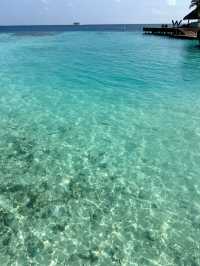 🌴 Honeymoon Bliss at W Maldives: Beach Villa Stay
